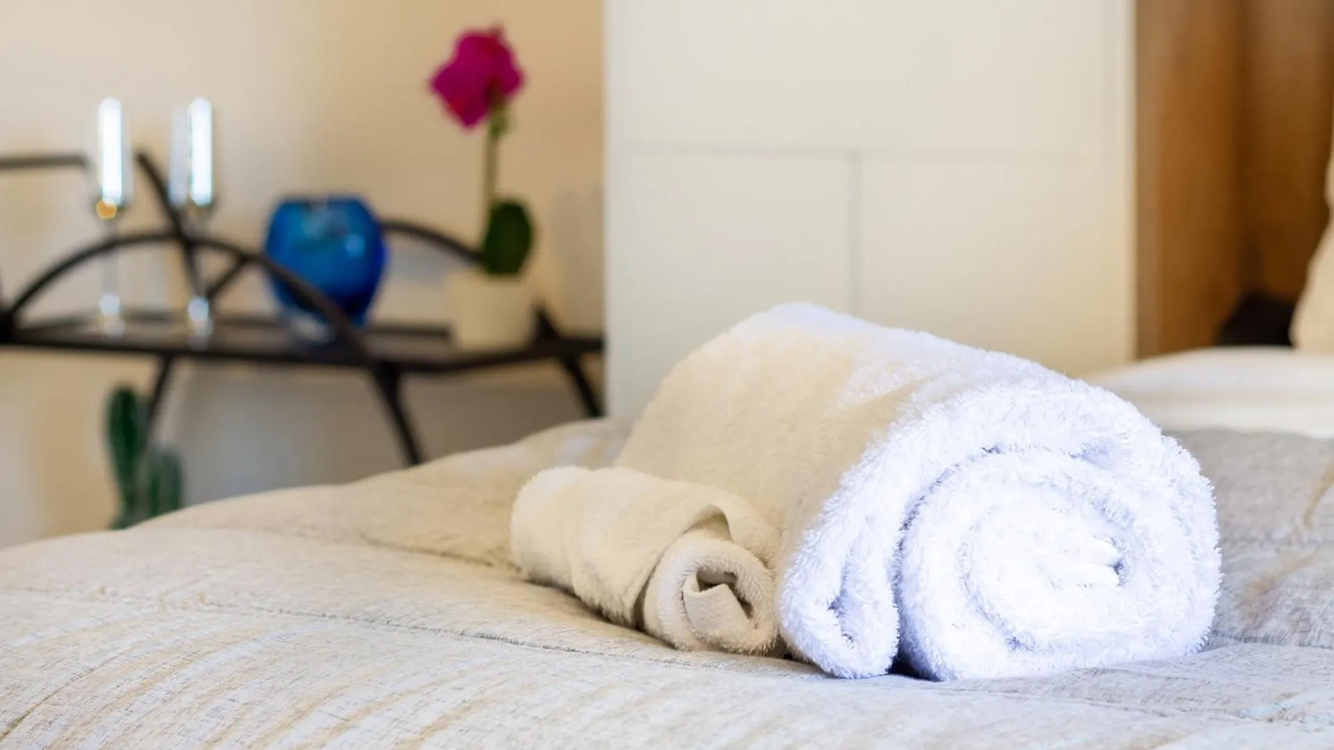 Central City Charm: Pet-Friendly Studio Christchurch Apartment